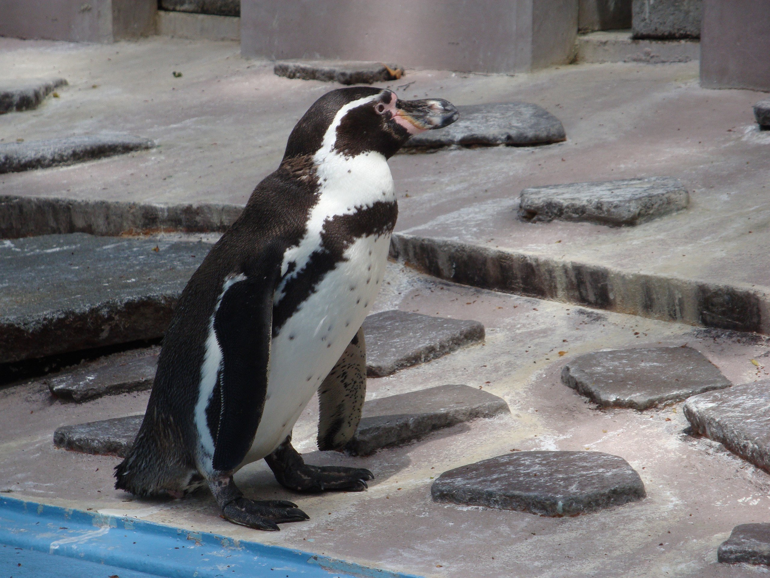 🏞️ 꿈의 언덕 동물공원 (유메미가사키 도부츠코엔) 이미지 7